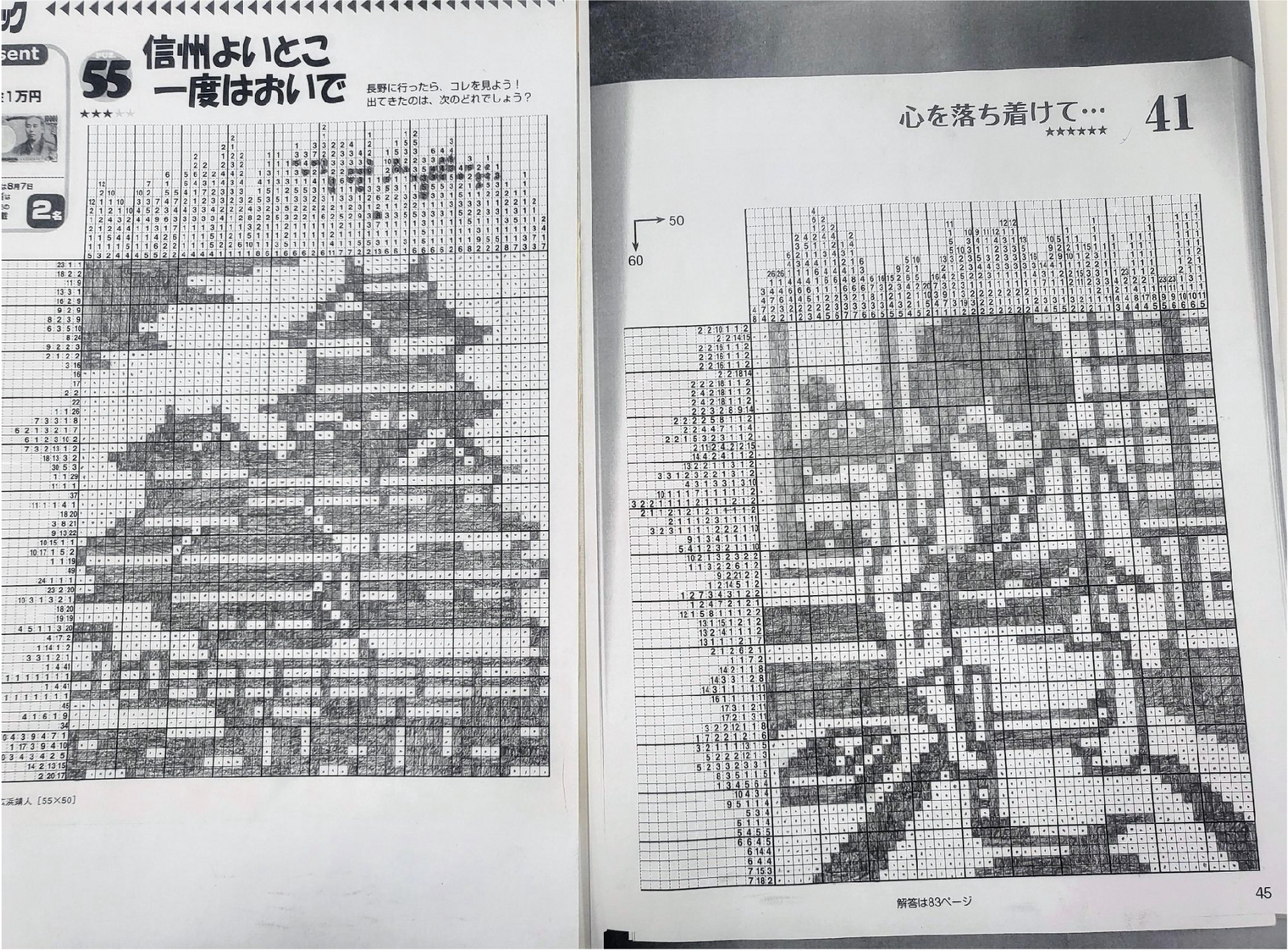 Křížovky ve světě - Japonsko
